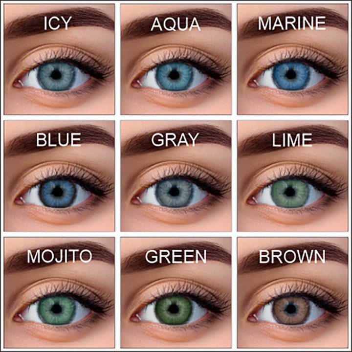 WDL Color Monthly Gray -4,00 BC 8.6 линзы контактные мягкие 1 шт