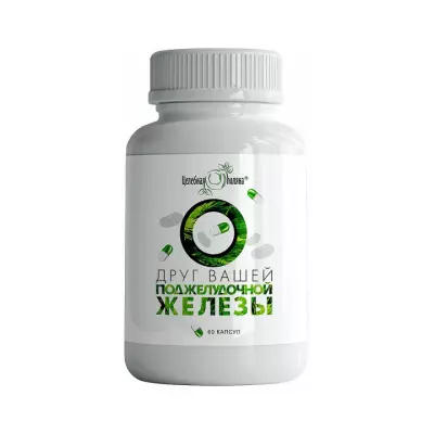 Целебная поляна Друг вашей поджелудочной железы капсулы 313 мг 60 шт