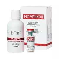 Ферменкол набор для энзимной коррекции ферменкол 4 мг 1 шт + солактин 40 мл 1 шт