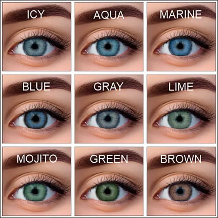 WDL Color Monthly Gray -1,50 BC 8.6 линзы контактные мягкие 1 шт