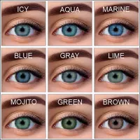 WDL Color Monthly Gray -3,00 BC 8.6 линзы контактные мягкие 1 шт